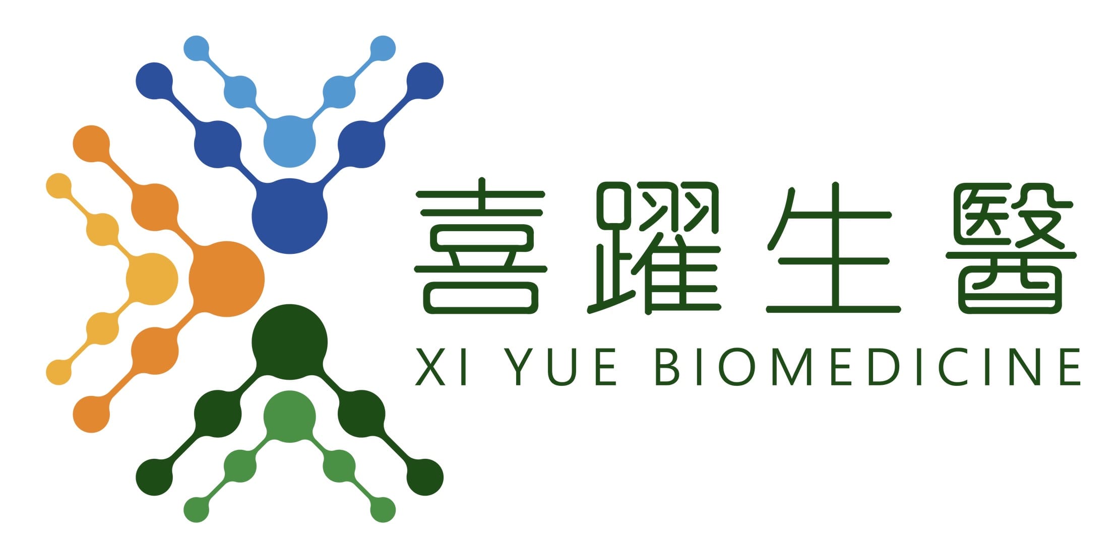 Xiyue Biomed